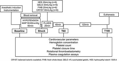 Hypocoagulability and Platelet Dysfunction Are Exacerbated by Synthetic Colloids in a Canine Hemorrhagic Shock Model